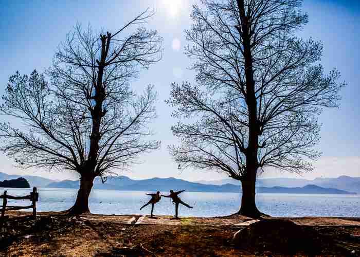 成都商务车租车，别光比价！这几家靠谱厂家的电话和门道我都挖来了-第2张图片-成都租车公司